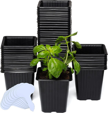 60 Pack 3.8 Inch Deep Plastic Seedling Pots - Reusable Seed Starter Pots
